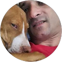 Erivelton Soares profile picture