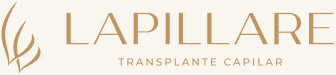 Logotipo Lapillare